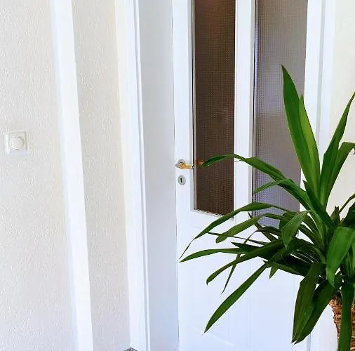 Appartement Fischerteich In Detmold