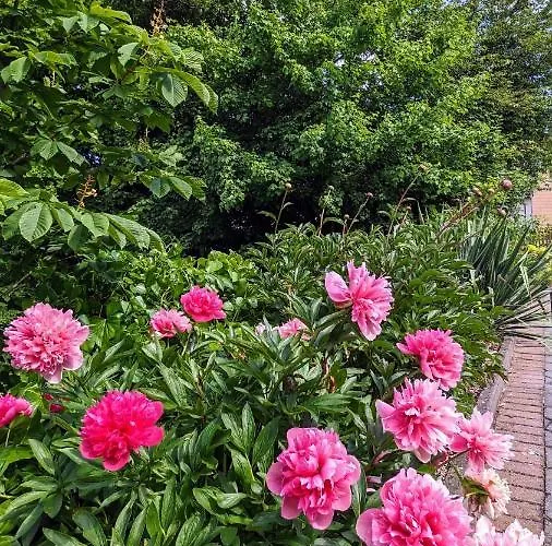 Lejlighed Fischerteich In Detmold